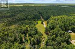 0000 NANGOR TRAIL | Whitewater Region Ontario | Slide Image Ten