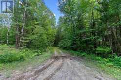 0000 NANGOR TRAIL | Whitewater Region Ontario | Slide Image Twelve