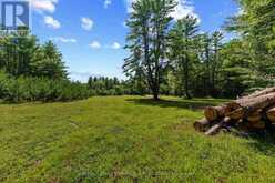 0000 NANGOR TRAIL | Whitewater Region Ontario | Slide Image Sixteen
