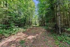 0000 NANGOR TRAIL | Whitewater Region Ontario | Slide Image Two