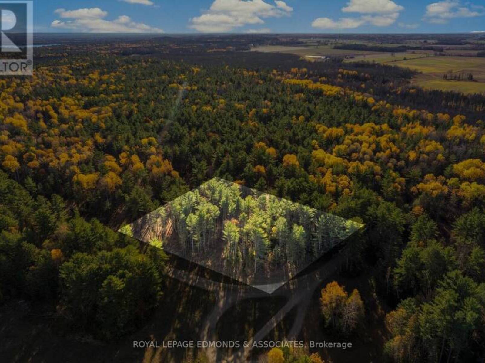 100 NANGOR TRAIL, Whitewater Region, Ontario K0J 2L0