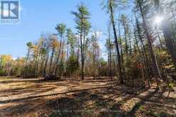 100 NANGOR TRAIL | Whitewater Region Ontario | Slide Image Ten
