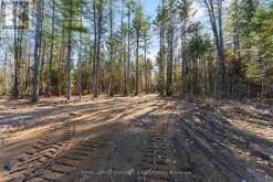 100 NANGOR TRAIL | Whitewater Region Ontario | Slide Image Eleven