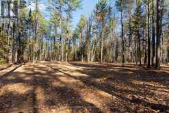 100 NANGOR TRAIL | Whitewater Region Ontario | Slide Image Eight