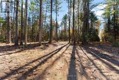 100 NANGOR TRAIL | Whitewater Region Ontario | Slide Image Nine
