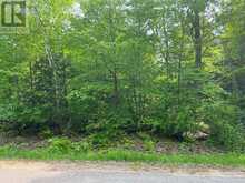 387 SUNNY HILL ROAD | Madawaska Valley Ontario | Slide Image One