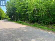 387 SUNNY HILL ROAD | Madawaska Valley Ontario | Slide Image Four