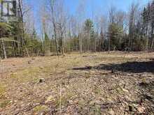 00 GARDEN OF EDEN ROAD | Renfrew Ontario | Slide Image Three