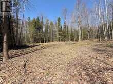00 GARDEN OF EDEN ROAD | Renfrew Ontario | Slide Image Five