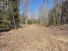 00 GARDEN OF EDEN ROAD | Renfrew Ontario | Slide Image Six