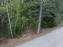 PTLT 177/8 MURRAY PARK STREET | Madawaska Valley Ontario | Slide Image Two