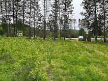 18500 HIGHWAY 60 HIGHWAY | Madawaska Valley Ontario | Slide Image Two