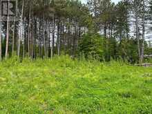 18500 HIGHWAY 60 HIGHWAY | Madawaska Valley Ontario | Slide Image Three