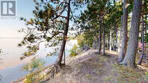 1796 C ROUND LAKE ROAD | Killaloe, Hagarty and Richards Ontario | Slide Image Forty-one