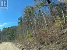 000 OPEONGO ROAD | Madawaska Valley Ontario | Slide Image Eleven