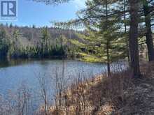 000 OPEONGO ROAD | Madawaska Valley Ontario | Slide Image Two