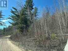 000 OPEONGO ROAD | Madawaska Valley Ontario | Slide Image Six