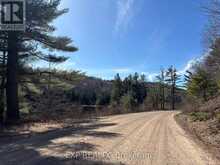 000 OPEONGO ROAD | Madawaska Valley Ontario | Slide Image Seven
