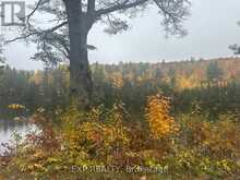 000 OPEONGO ROAD | Madawaska Valley Ontario | Slide Image Twelve
