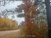 000 OPEONGO ROAD | Madawaska Valley Ontario | Slide Image Seventeen