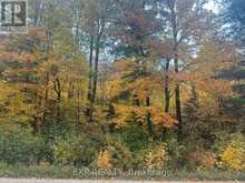000 OPEONGO ROAD | Madawaska Valley Ontario | Slide Image Eighteen