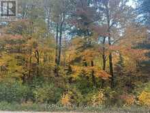 000 OPEONGO ROAD | Madawaska Valley Ontario | Slide Image Nineteen