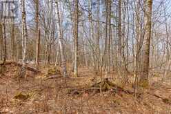 LOT 1 FOYMOUNT ROAD | Foymount Ontario | Slide Image Seven