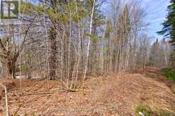 LOT 1 FOYMOUNT ROAD | Foymount Ontario | Slide Image Eight