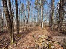 LOT 2 FOYMOUNT ROAD | Foymount Ontario | Slide Image Ten