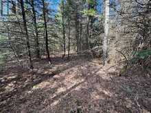 LOT 2 FOYMOUNT ROAD | Foymount Ontario | Slide Image Eight