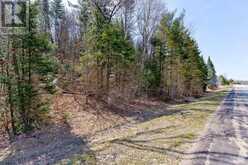 LOT 3 FOYMOUNT ROAD | Foymount Ontario | Slide Image Three