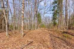 LOT 3 FOYMOUNT ROAD | Foymount Ontario | Slide Image Six