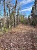 LOT 3 FOYMOUNT ROAD | Foymount Ontario | Slide Image Eight