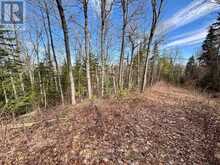 LOT 3 FOYMOUNT ROAD | Foymount Ontario | Slide Image Nine