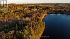 0 RICHARDS LANE | Killaloe, Hagarty and Richards Ontario | Slide Image Ten