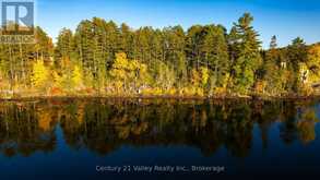 0 RICHARDS LANE | Killaloe, Hagarty and Richards Ontario | Slide Image Eighteen