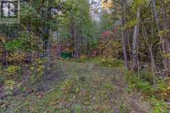 0 RICHARDS LANE | Killaloe, Hagarty and Richards Ontario | Slide Image Twenty-two