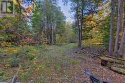 0 RICHARDS LANE | Killaloe, Hagarty and Richards Ontario | Slide Image Twenty-three