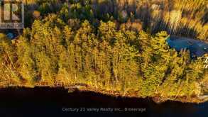 0 RICHARDS LANE | Killaloe, Hagarty and Richards Ontario | Slide Image Eight