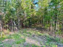 0 FOYMOUNT ROAD | Eganville Ontario | Slide Image One