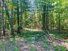 0 FOYMOUNT ROAD | Eganville Ontario | Slide Image Seventeen