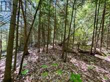 0 FOYMOUNT ROAD | Eganville Ontario | Slide Image Seven