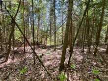 0 FOYMOUNT ROAD | Eganville Ontario | Slide Image Eight