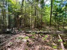 0 FOYMOUNT ROAD | Eganville Ontario | Slide Image Nine