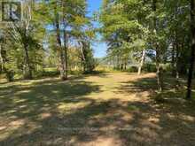 LOT 9 LOWER CRAIGMONT ROAD | Madawaska Valley Ontario | Slide Image Five