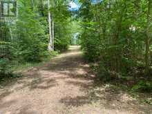 LOT 9 LOWER CRAIGMONT ROAD | Madawaska Valley Ontario | Slide Image Six