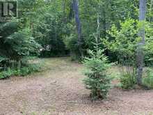 LOT 9 LOWER CRAIGMONT ROAD | Madawaska Valley Ontario | Slide Image Eight