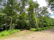 LOT 9 LOWER CRAIGMONT ROAD | Madawaska Valley Ontario | Slide Image Nine