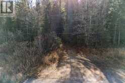 0 HWY 17 HIGHWAY | Deep River Ontario | Slide Image Twenty-one