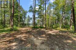 290 HENNESSY TRAIL | Whitewater Region Ontario | Slide Image Seventeen